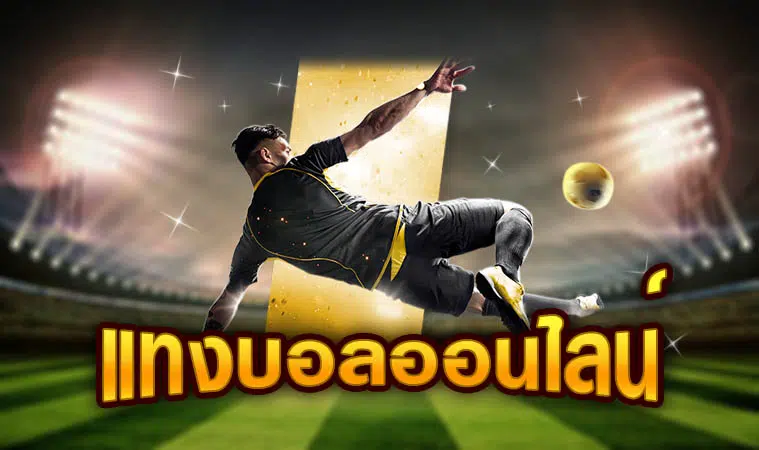 เว็บแทงบอลราคาดี 