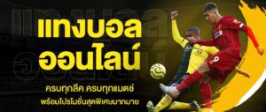 เครดิตฟรี แทงบอล