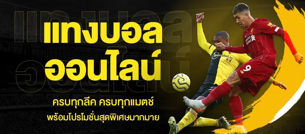 เว็บแทงบอลเว็บไหนดี