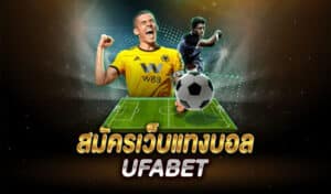 แทงบอล เว็บตรง