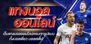 แทงบอลออนไลน์ 365