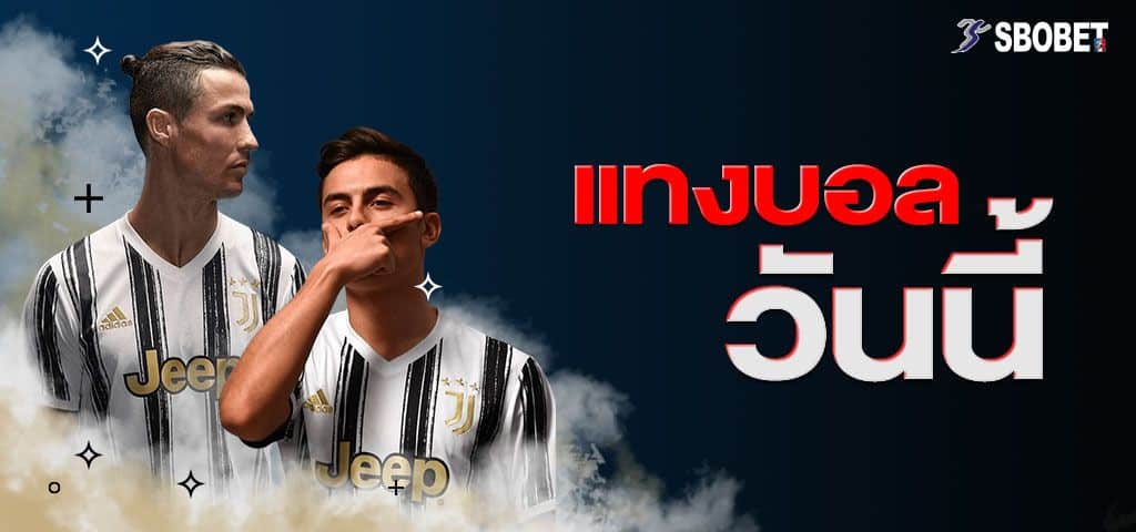 เว็บแทงบอล วันนี้